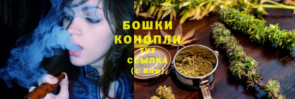 мдпв Щучье