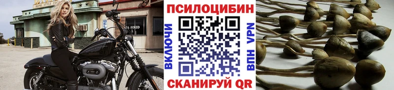 купить наркотики цена  Чухлома  Галлюциногенные грибы ЛСД 